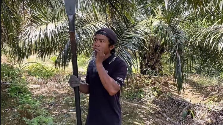 Rata-rata Buruh Sawit Perokok Aktif, BPS: Penyebab Kemiskinan!