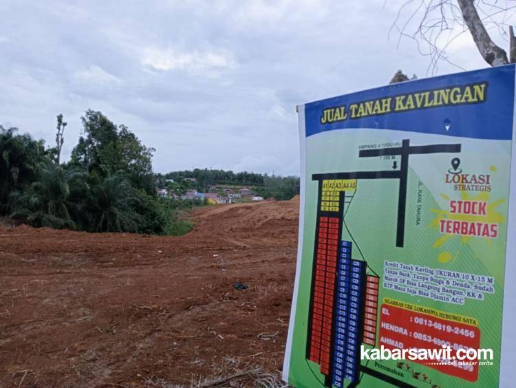 Tak Menguntungkan, Pengusaha Ini Ubah Lahan Sawit Jadi Kaplingan