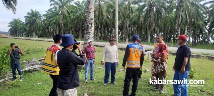 Janji PT Agricinal Tak Sesuai