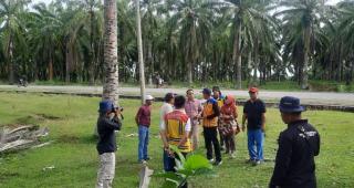 80 Hektare untuk Pertanian Terpadu