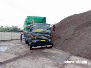 Good Job! Cangkang Sawit Bengkulu Makin Diminati Jepang