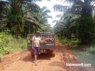 Tentang Petani Sawit Dari Ujung Timur Indonesia