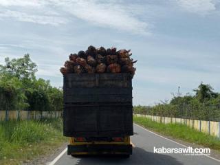 Kesal dengan Truk Pengangkut TBS