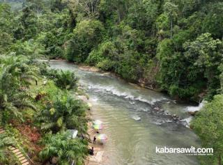 Kebun Sawit di Desa Wisata Ganggu Pemandangan