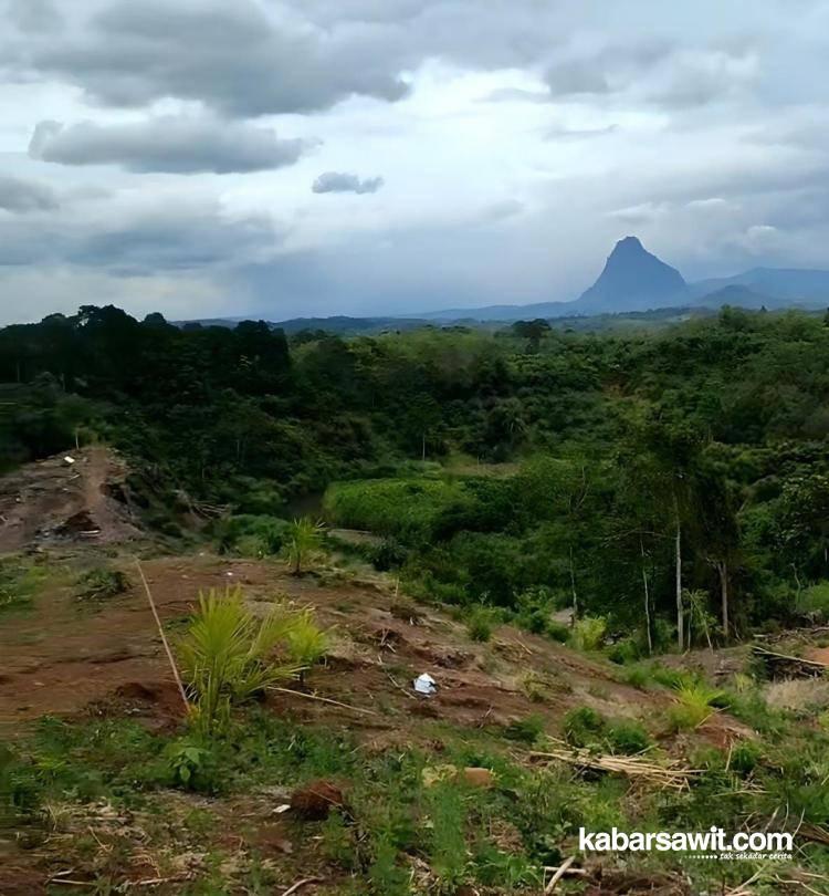 Tak Lagi Produktif, Warga Ramai-ramai 
