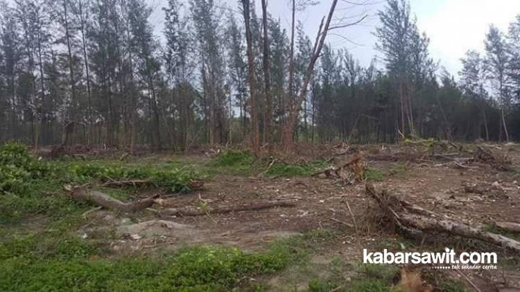 Ternyata, Taman Wisata Alam Pantai Panjang Tumpang Tindih dengan Pelindo 