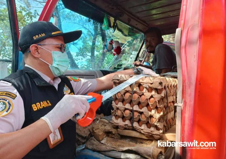 Karantina Pertanian Bengkulu Buka Wilayah Kerja di Pulau Enggano