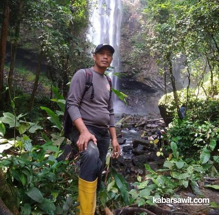 Perambah Hutan Bakal Dapat Kompensasi 35 Tahun Kelola Sawit