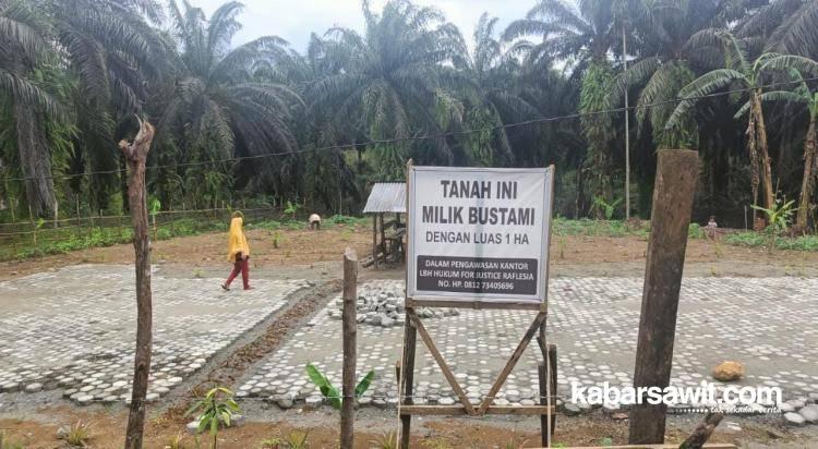 Beli Sebidang Lahan, Gapoktan Sawit Kena Tipu