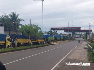 Bos Sawit Diminta Bikin Tempat Parkir Darurat di Pelabuhan Pulau Baai 