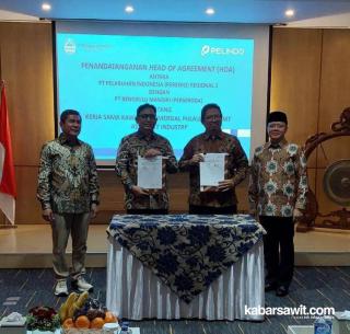 Pelindo Setuju Pabrik Migor Dibangun di Pulau Baai 