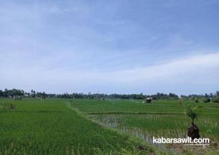 Pemkab Seluma akan Bikin Perda Alih Fungsi Lahan 