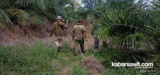 Antisipasi Karhutla Jelang Kemarau Panjang