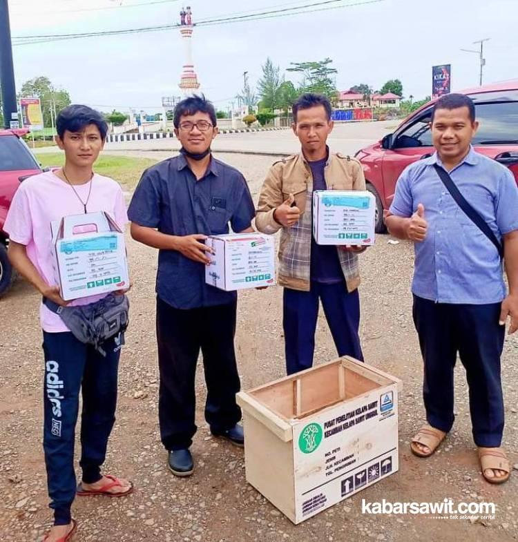 Penangkar Akses Bibit Sawit Unggul Lewat Prowitra PPKS