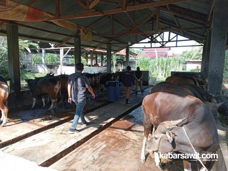Pelepah Sawit Baik untuk Ternak