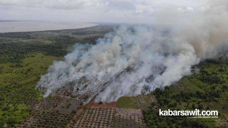 Minim Kebun Sawit Terbakar di Bengkalis