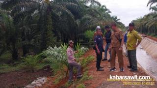 BWS Sumatera VII Larang Irigasi Ditanami Sawit