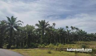 Warga Bengkulu Tengah Tuntut Pengembalian 600 Hektare eks HGU PT BRI
