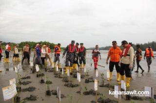 Jangan Rusak Ekosistem Mangrove dengan Sawit