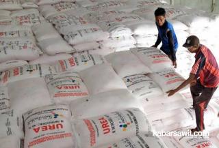 Apkasindo Bengkulu Tengah Minta Pemerintah Cabut Larangan Penggunaan Pupuk Bersubsidi