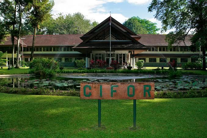 Tungkot Sipayung Tuding CIFOR Banyak Kebohongan, Prof Herry: No Comment!