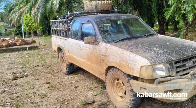 Curi Sawit Perusahan, Empat Warga Bengkulu Utara Lebaran di Penjara