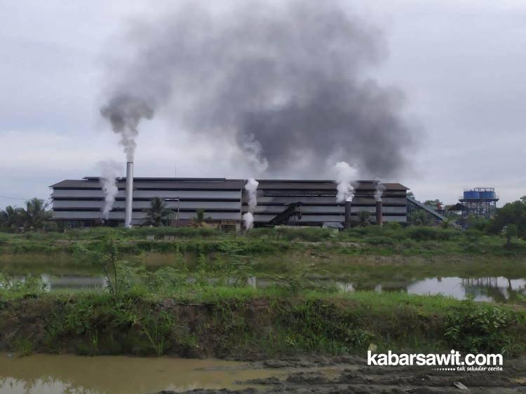 Sembilan Pabrik Sawit di Mukomuko Tanpa Kebun Inti