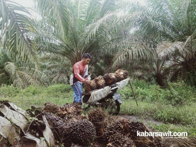 Pekerja PT Surya Andalan Primatama Tuntut Jaminan Sosial