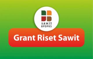 Soal Grant Riset Sawit, APKASINDO: Yang Urgent Itu KO!