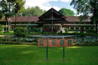 Tungkot Sipayung Tuding CIFOR Banyak Kebohongan, Prof Herry: No Comment!