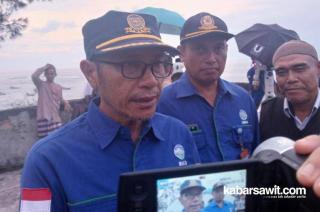 Cuaca Panas Ekstrem, Ini Pesan BMKG untuk Petani Sawit