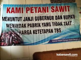 Dear Pak Gub! Petani di Mukomuko Tagih Janji Tindak Pabrik Sawit Nakal