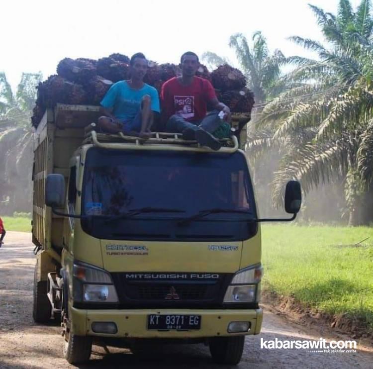 Dewan Minta Pemda Awasi Pembelian TBS di Bengkulu Selatan 