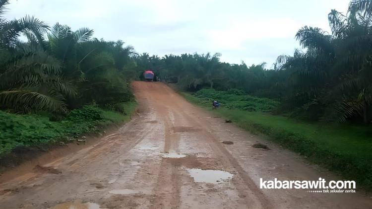 Warga Ngeluh, Jalan ke Perkebunan Rusak Parah