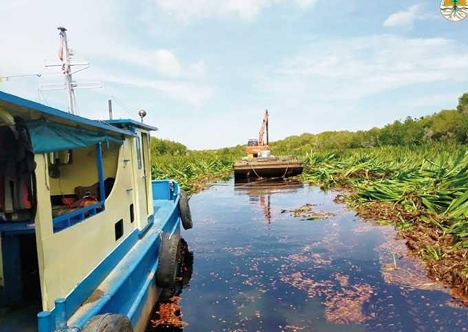 Sungai Kerumutan Tercemar Limbah Pabrik Sawit?