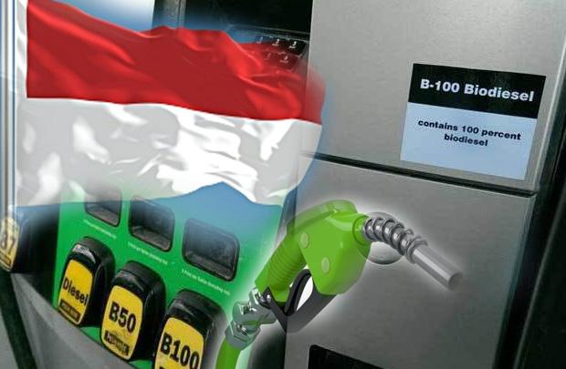 Sawit, Alternatif Bahan Bakar Berbiaya Rendah