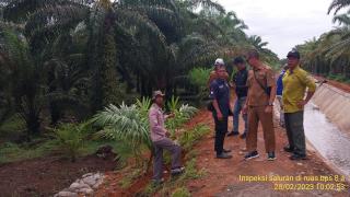 Ratusan Hektare Lahan Pertanian di Mukomuko Disulap Jadi Perkebunan Sawit