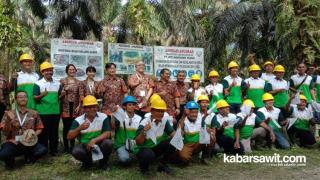 Tiga Perusahaan Raksasa Bantu Petani Sawit Raih Sertifikasi RSPO di Inhu