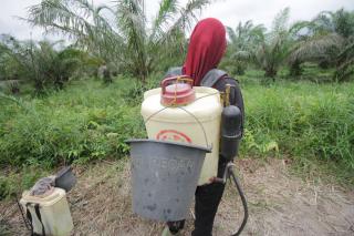 Tak Ada Pembatasan Karir Perempuan di Sektor Perkebunan Sawit 