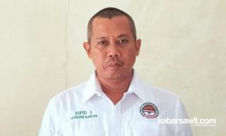 Tunggu Panen Perdana, Petani Pandeglang Sumringah 