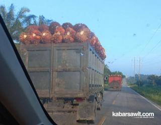 Harga Sawit Kalbar Turun Jadi Rp2.126,09/Kg