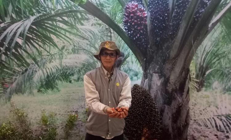 Bursa Minyak Sawit Penting untuk Dongkrak Harga TBS