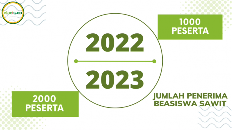 Saat Lulusan Beasiswa Sawit Kembali Ke Kebun...