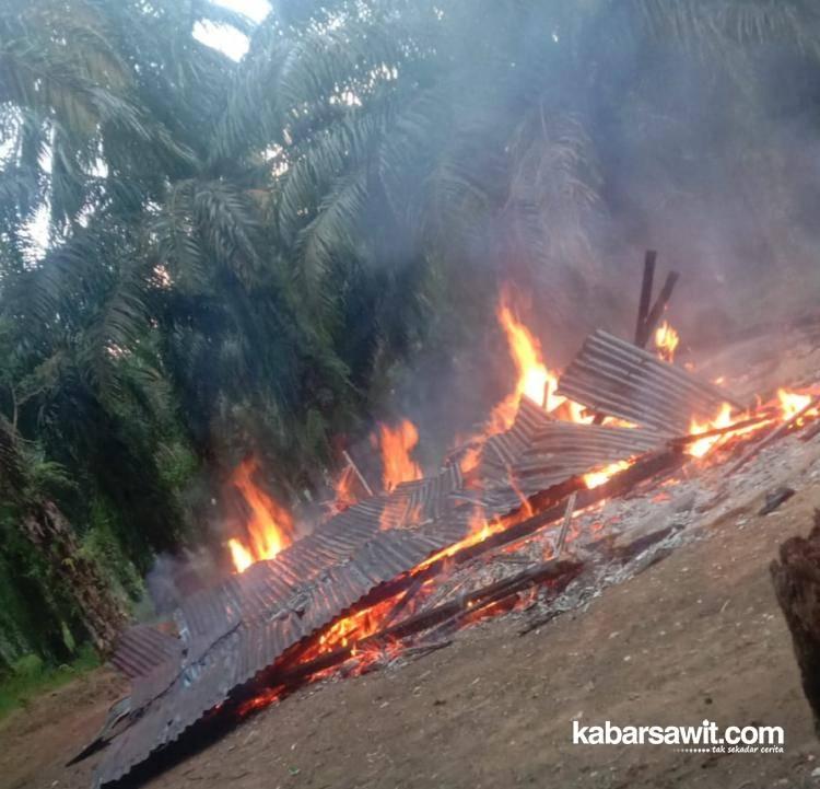 Pondok Milik Petani Sawit di Bengkulu Tengah Terbakar, Seluruh Barang Jadi Abu