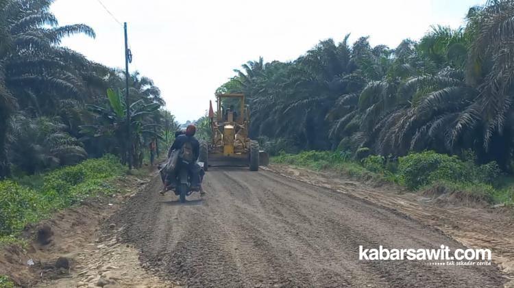 Biar Gampang Jual Hasil Tanaman, Pemkab Seluma Kebut Pembangunan Jalan di Perkebunan Sawit