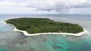 BKSDA Bengkulu Ingtkan Masyarakat Stop Tanam Sawit di Pulau Enggano