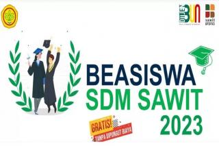 Update Beasiswa Sawit, Peserta yang Lolos Seleksi Administrasi Bertambah, Segini Jumlahnya! 