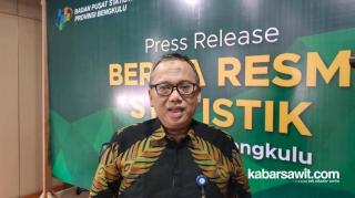Sebagian Besar Penduduk Usia 60 Tahun di Bengkulu Pilih Bekerja sebagai Petani Sawit