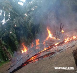 Pondok Milik Petani Sawit di Bengkulu Tengah Terbakar, Seluruh Barang Jadi Abu