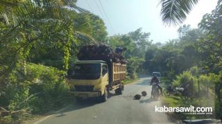 Masyarakat Keluhkan Truk Sawit Tanpa Pengaman di Mukomuko 